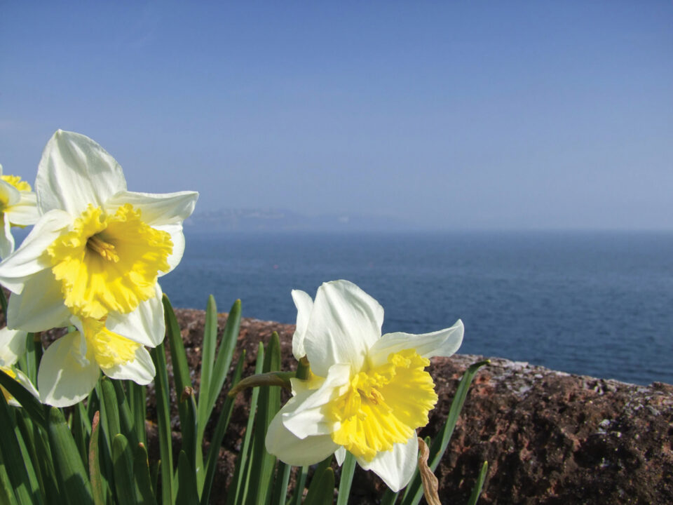 Spring in Torquay