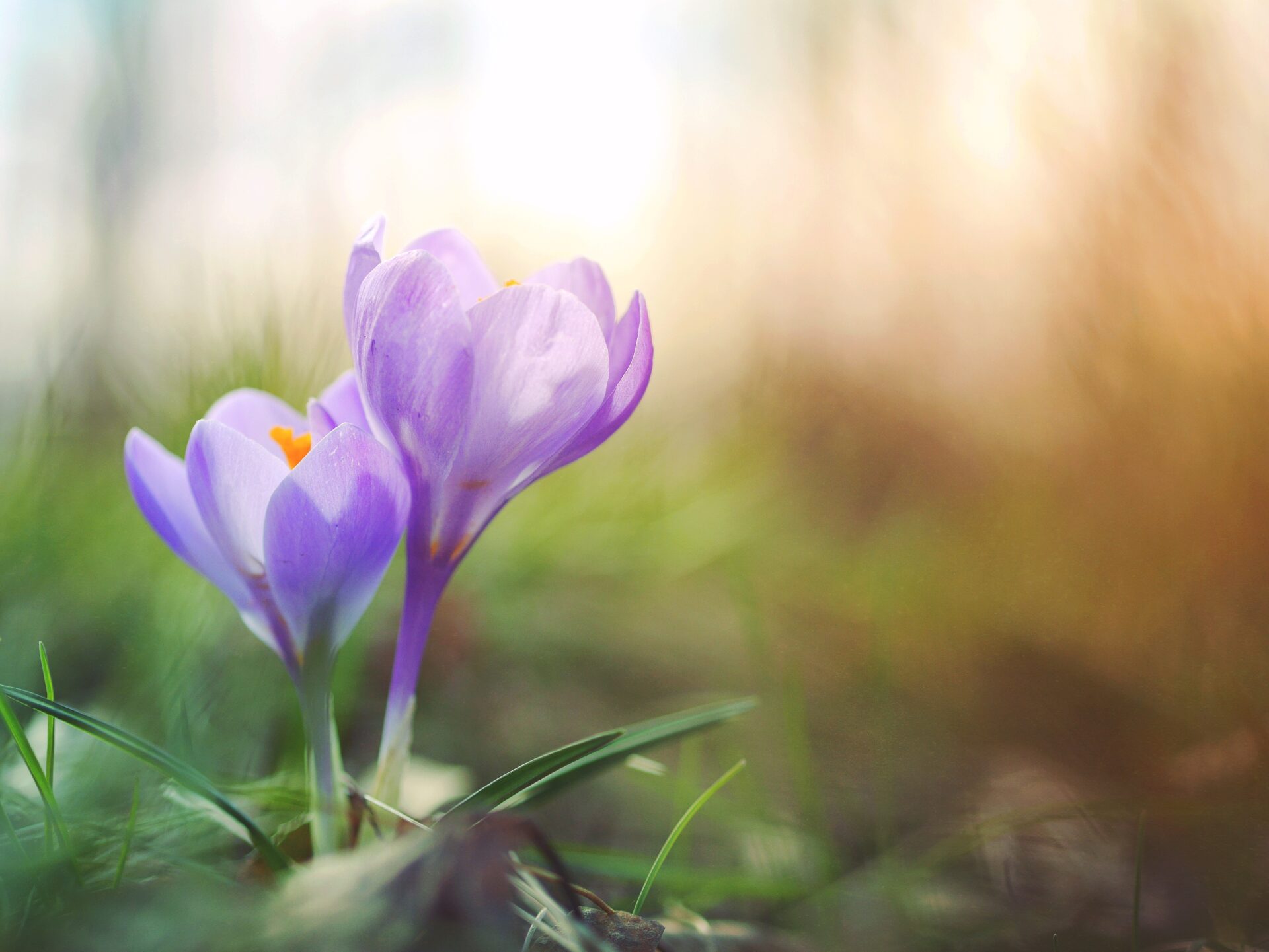 6 Spring Activities not to be Missed in Torquay