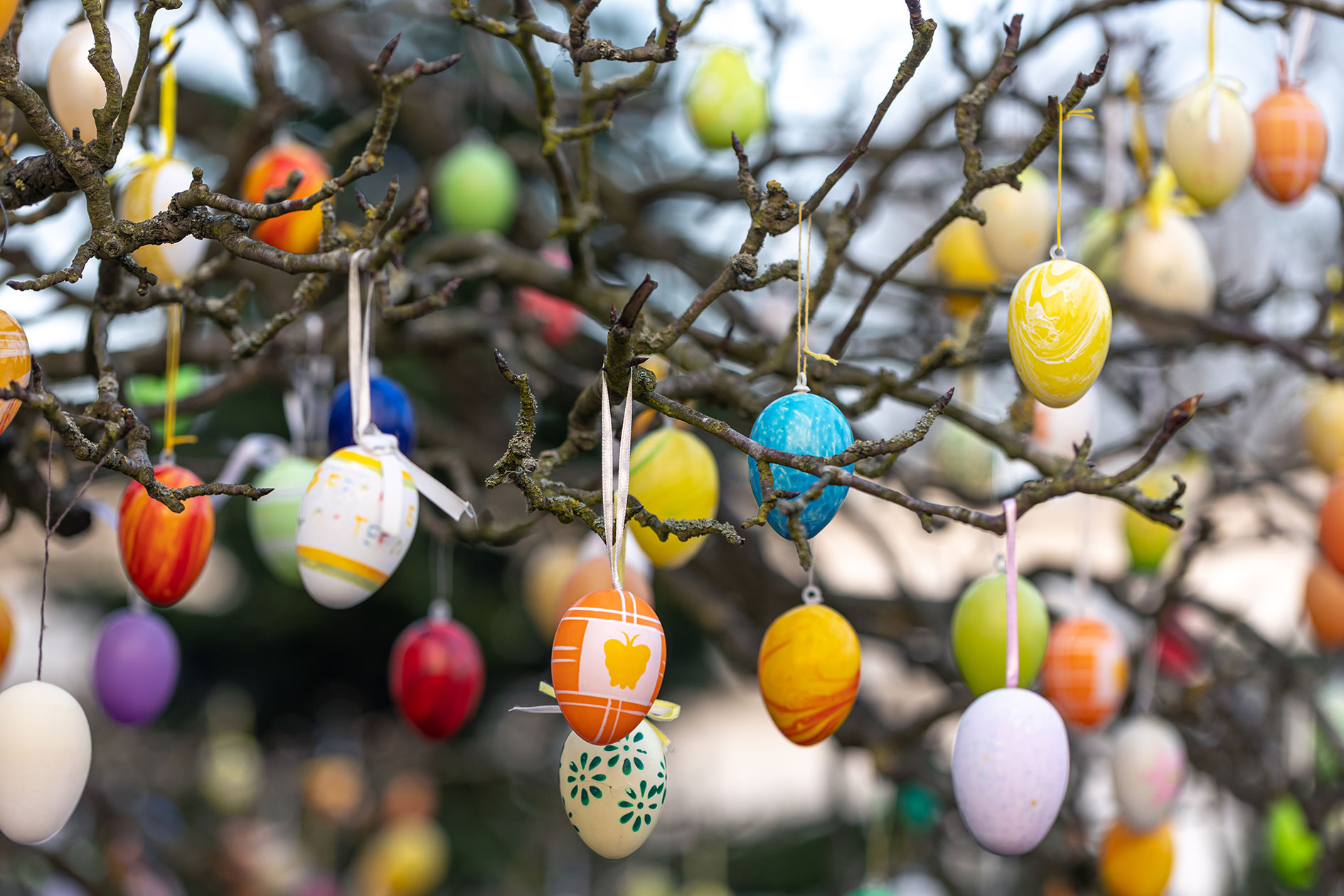 Our Top 5 Easter Events for Kids in Torquay