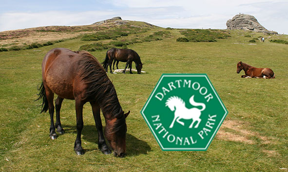 Enjoy Dartmoor National Park
