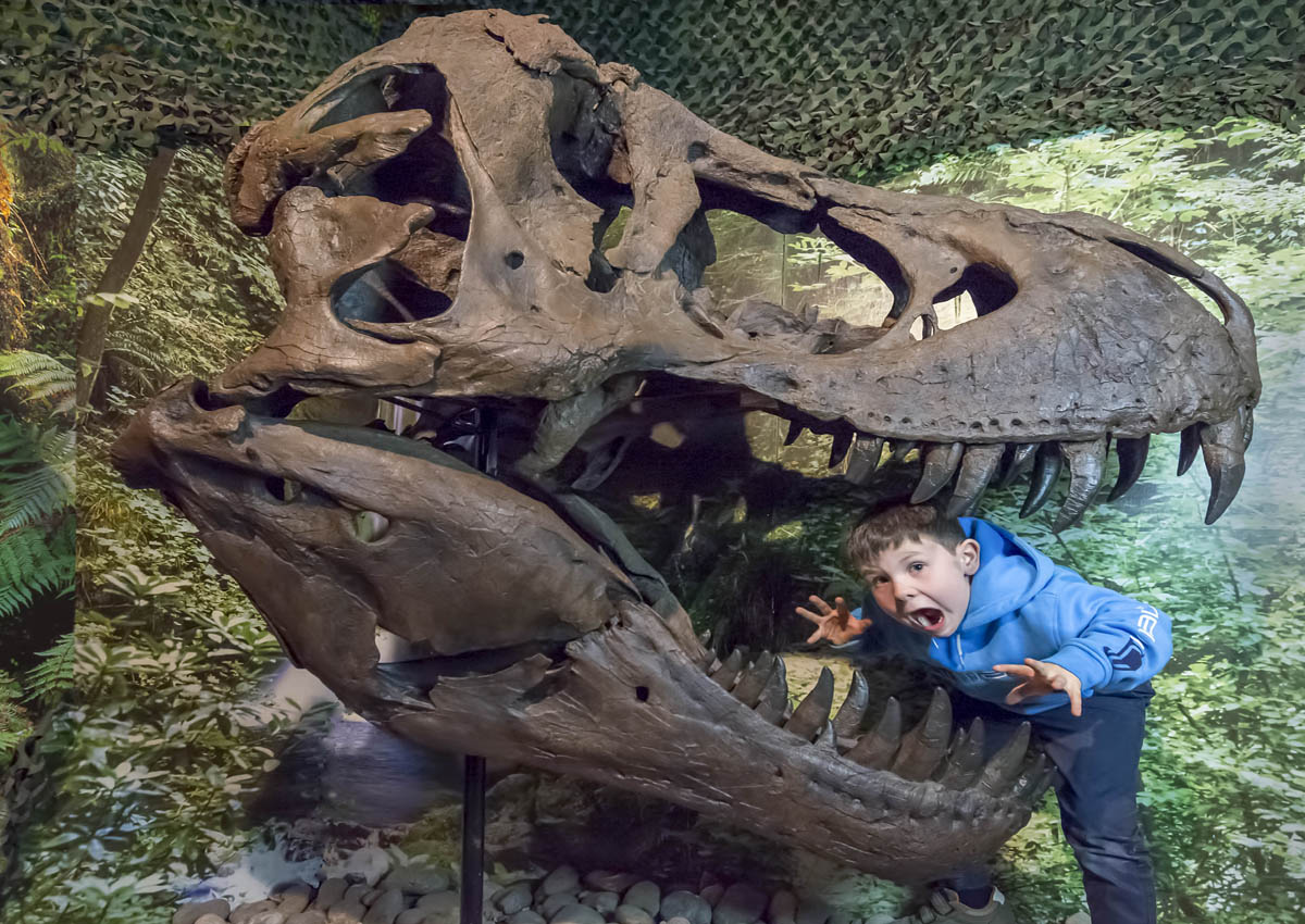 Things to do in Torquay – Dinosaur World