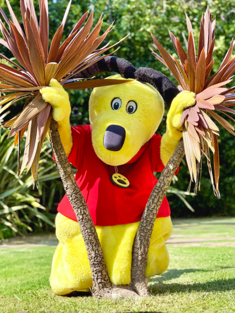 Toby Lee Hound, the TLH Leisure Resort mascot, playfully peering through two palm trees in Torquay